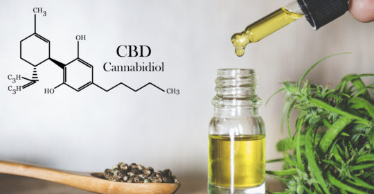 4 proven benefits of CBD (plus 5 of the best CBD products to try)