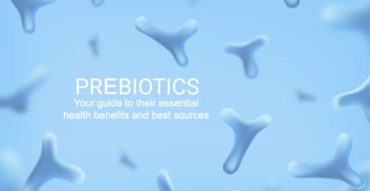 What are prebiotics? Your guide to their benefits and best sources